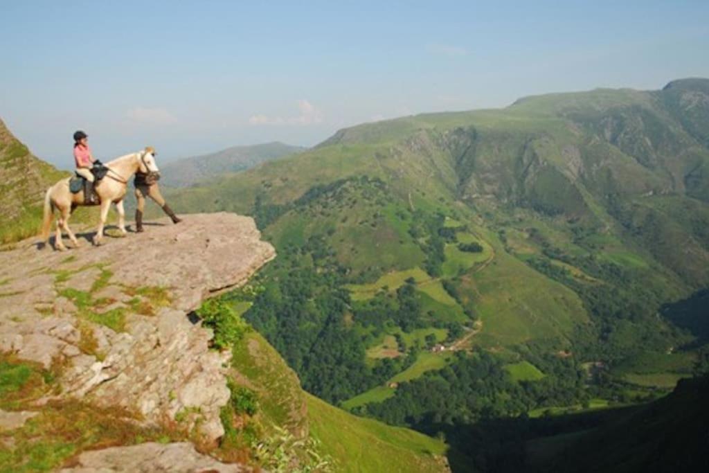 Gite Individuel Au Pays Basque A 1,5Km De St-Jean-Pied-De-Port Saint-Jean-Pied-de-Port Eksteriør billede